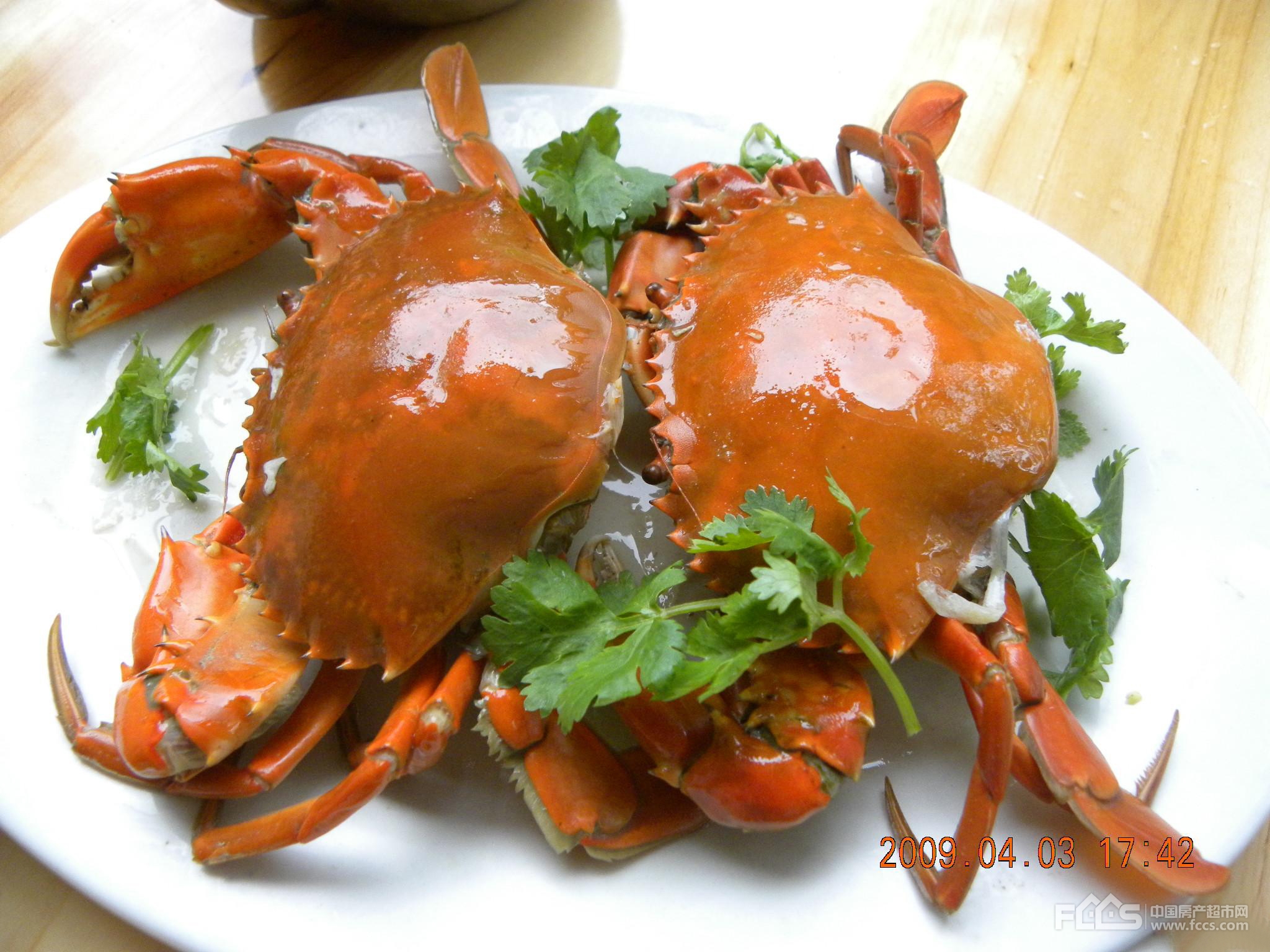 国内餐饮品牌为何争相出海,国内餐饮实体店现状