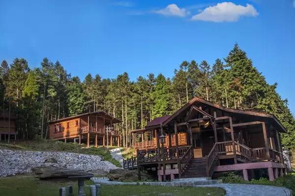 武汉周边打卡拍照圣地,武汉适合女生拍照打卡的地方