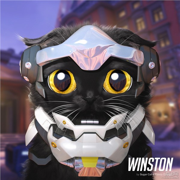 守望先锋cosplay国外大神,守望先锋cos狂鼠