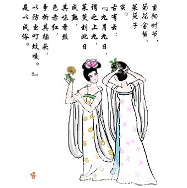 九九重阳节来了这些传统习俗你都知道吗？