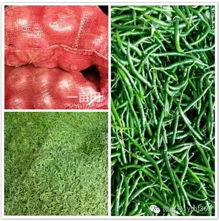 一个秋天能卖上千万元辣椒这个女代办比男人还牛