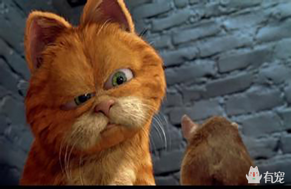 如果你是加菲,你会问吗?