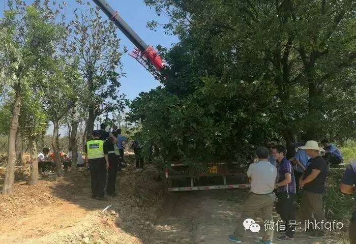 三百竞赛部门快速行动开发区全力推进“三百”竞赛活动攻坚
