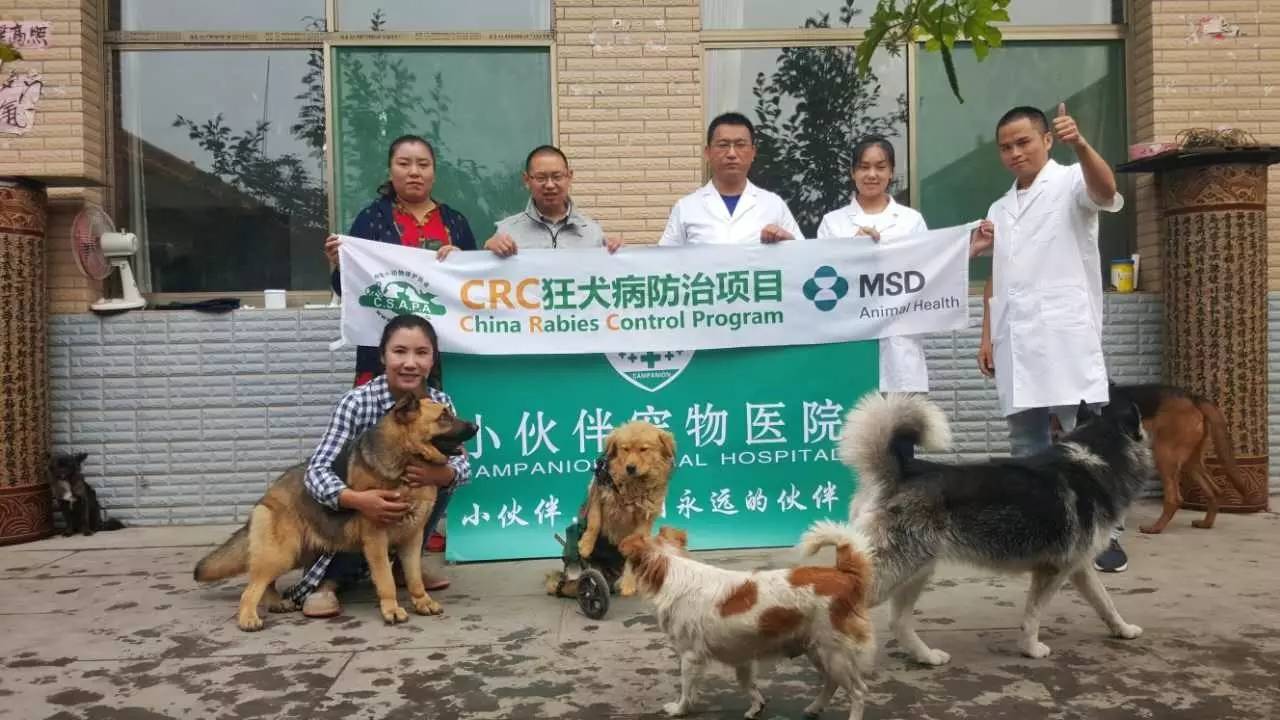 crc项目初期的准备工作,crc项目流程