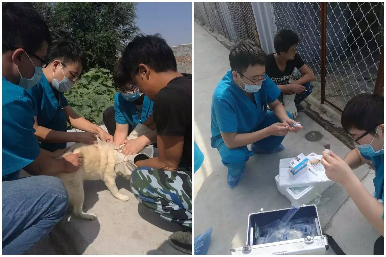 crc项目初期的准备工作,crc项目流程