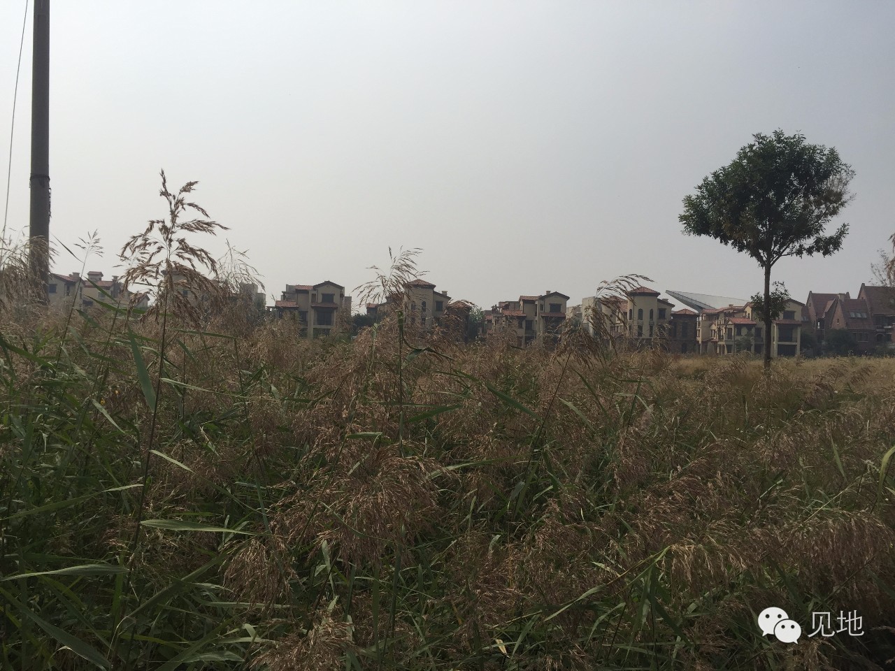 天津津南区星耀五洲航拍,天津市津南区星耀五洲别墅