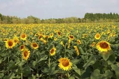 周末上海浦东有什么好玩的,五一上海浦东游玩攻略最全