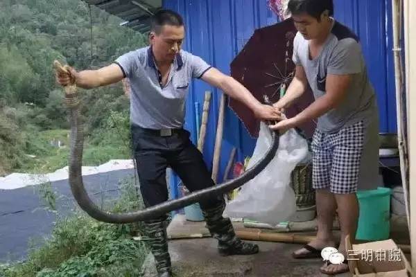 三明新闻速读:三明将乐县一女子因与古玩店店主有债务纠纷,*债讨**不成当街引燃液化气瓶相威胁