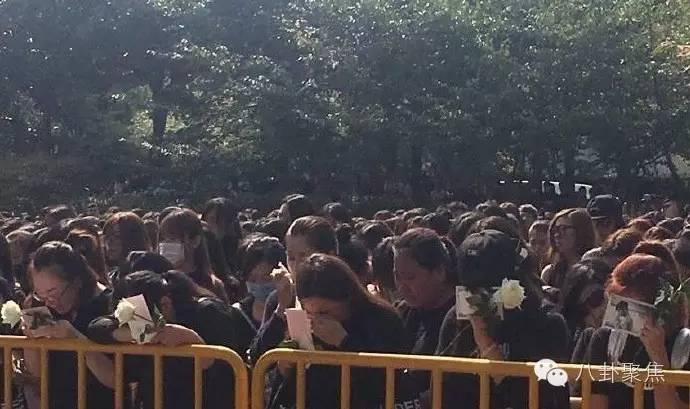 井柏然乔任梁李易峰流星雨,乔任梁井柏然李易峰