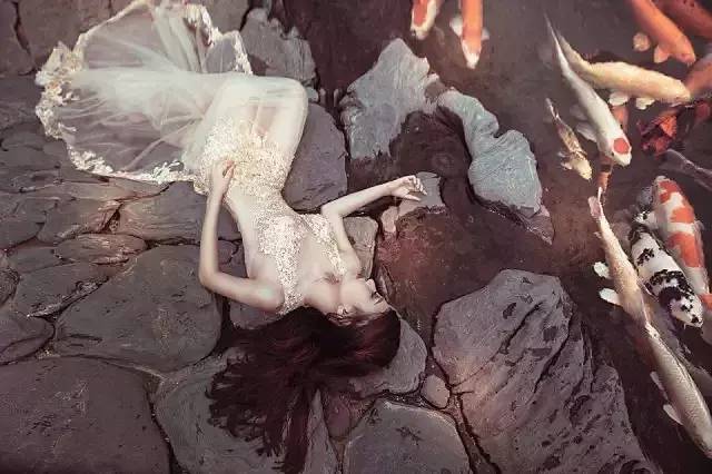 锦鲤饲料的成分,锦鲤饲料营养成分怎么看