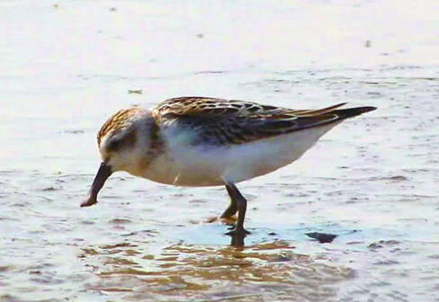 26个英文字母带你看懂我们大如东!