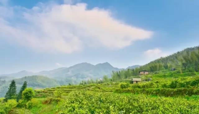 江西最美自驾线路推荐,江西自驾5条最佳线路图