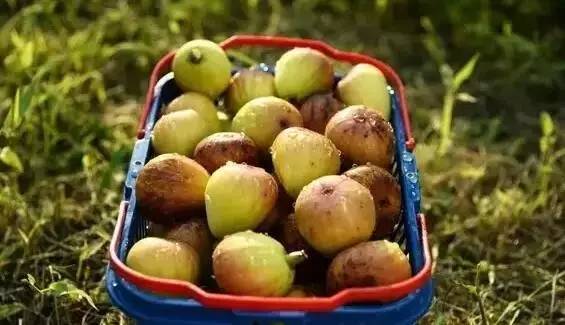 江西最美自驾线路推荐,江西自驾5条最佳线路图