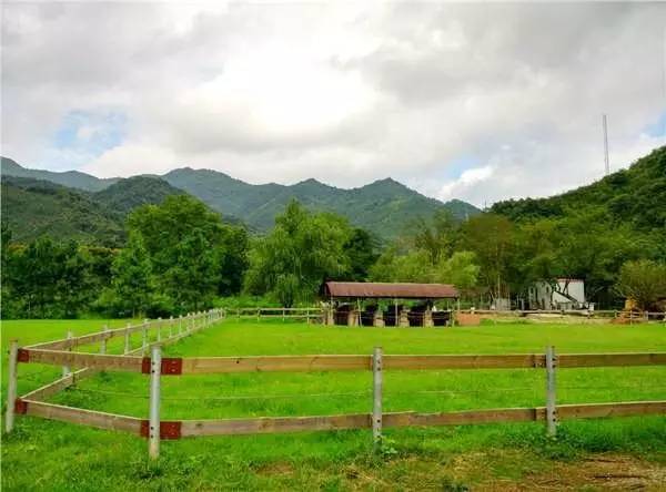 灵溪镇民间故事,灵溪河民间故事