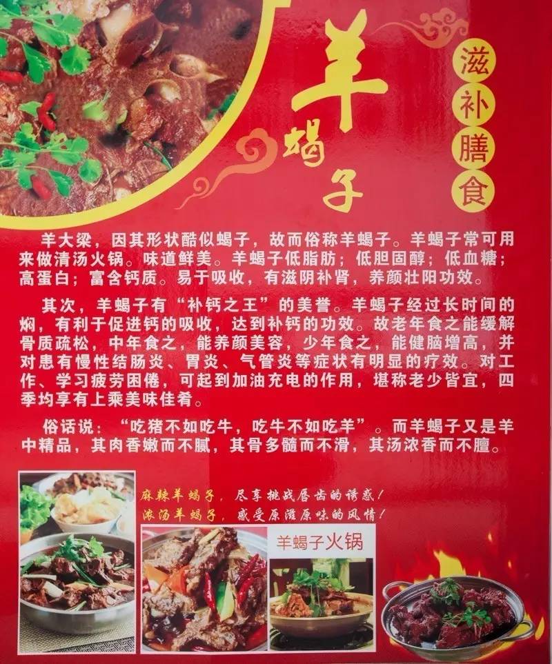 羊蝎子是啥玩意儿,真实羊蝎子吓人视频