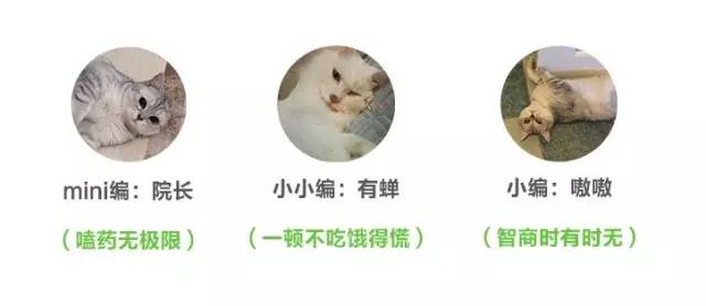 澳门葡京周围美景,澳门葡京的风景