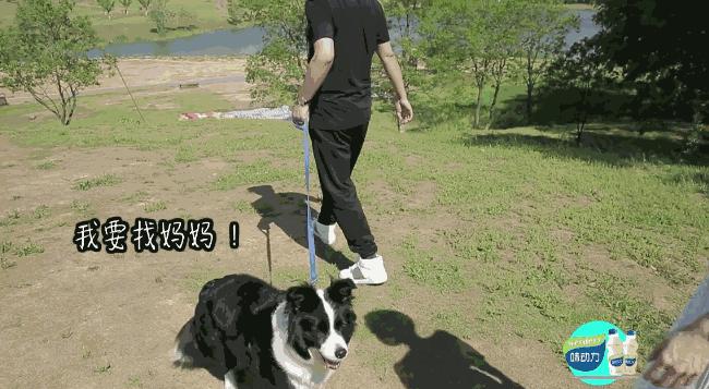 这世界如此喧闹,这世界如此喧嚣