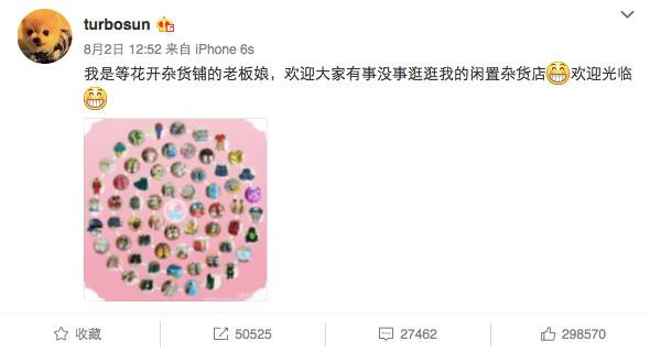 孙俪花粉儿店铺叫啥,孙俪花粉儿店铺叫什么