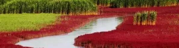 澳门葡京周围美景,澳门葡京的风景