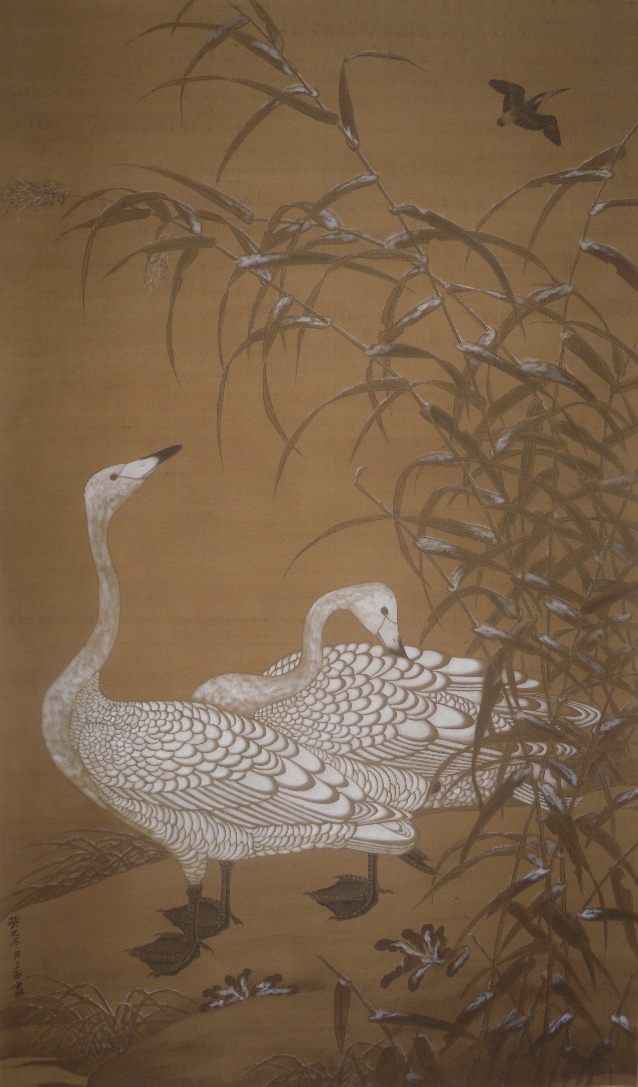 张军花鸟画作品欣赏,李松国画花鸟艺术作品