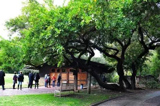 川航发布成都直飞洛杉矶新航线:10月17日首航!往返价2899元!(不含税)