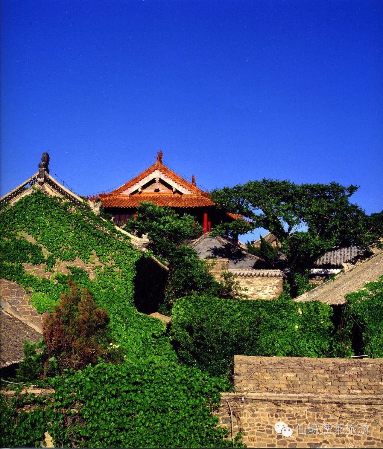 蓬莱阁风景文章大全,人间仙境蓬莱阁十大景