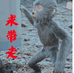 没想到你是这样的神狐小七!《青云志》灵(萌)兽(宠)大合集