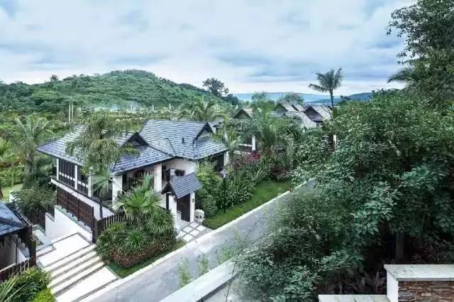 就在今天：索菲特、温德姆、万怡、花间堂，四大品牌五家高端酒店同步登场，你最想体验哪一家？！