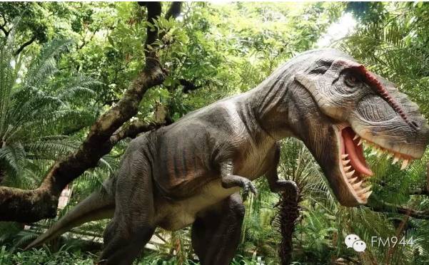 让你的假期多一份,让你的假期充满乐趣