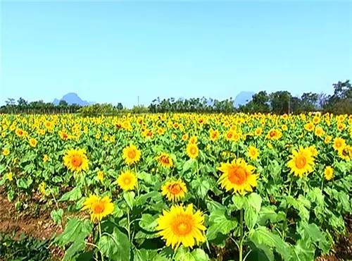 桂林4-5天旅游攻略,十一国庆桂林自由行攻略