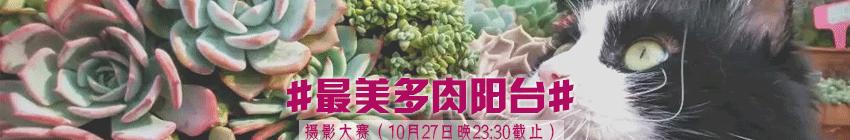 多肉虫害各种图解,多肉各种病虫害对照图