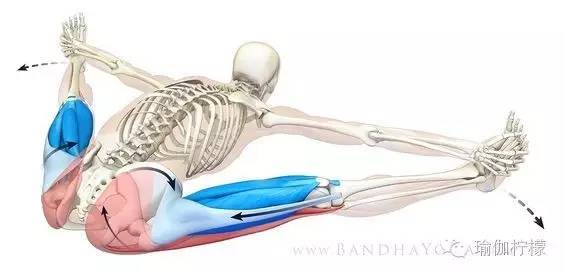 韧带太差如何开韧带,关于韧带拉伤的问题