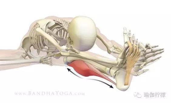 韧带太差如何开韧带,关于韧带拉伤的问题