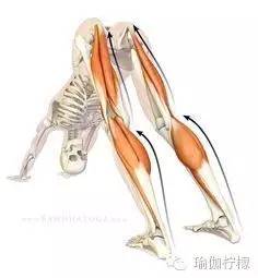 韧带太差如何开韧带,关于韧带拉伤的问题