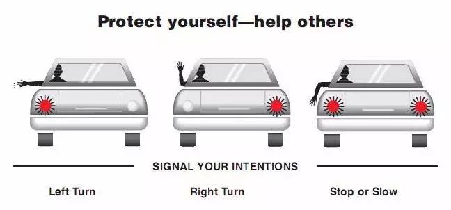 看得懂手势,看得懂所有的小动作