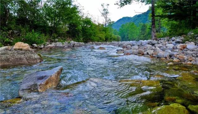 为祖国庆生祝愿祖国繁荣昌盛,为祖国庆生不忘初心