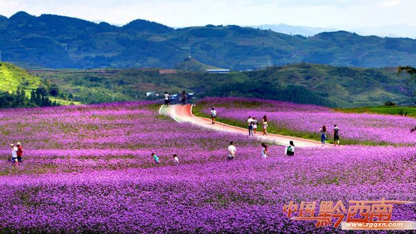 徐霞客探访不一样的贵州,徐霞客在贵州黔西南