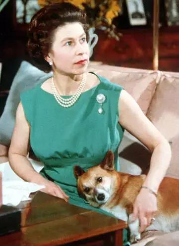 皇家旗舰，超长待机——英女王那些你不知道的事儿