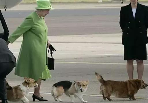 皇家旗舰，超长待机——英女王那些你不知道的事儿