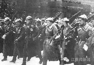 我伙呆!开着开着就饿了!两货车停高速应急车道,4人下车做饭...