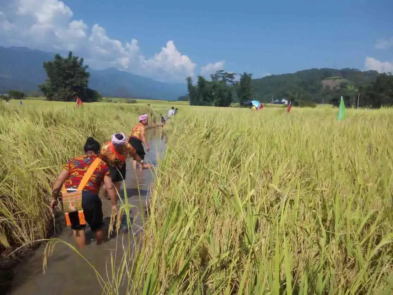 葫芦丝非遗传承人哏德全,葫芦丝大师哏德全故居
