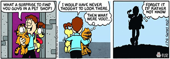 如果你是加菲,你会问吗?