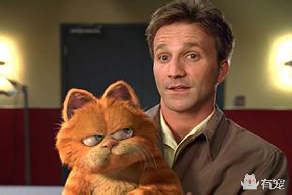 如果你是加菲,你会问吗?