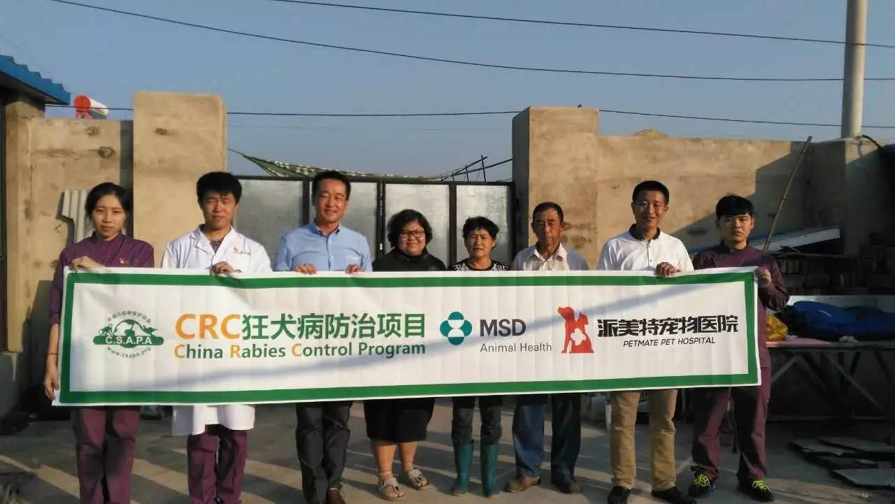 crc项目初期的准备工作,crc项目流程