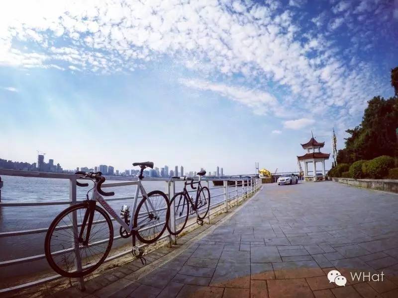 湖北武汉隔壁老王,武汉隔壁的老王