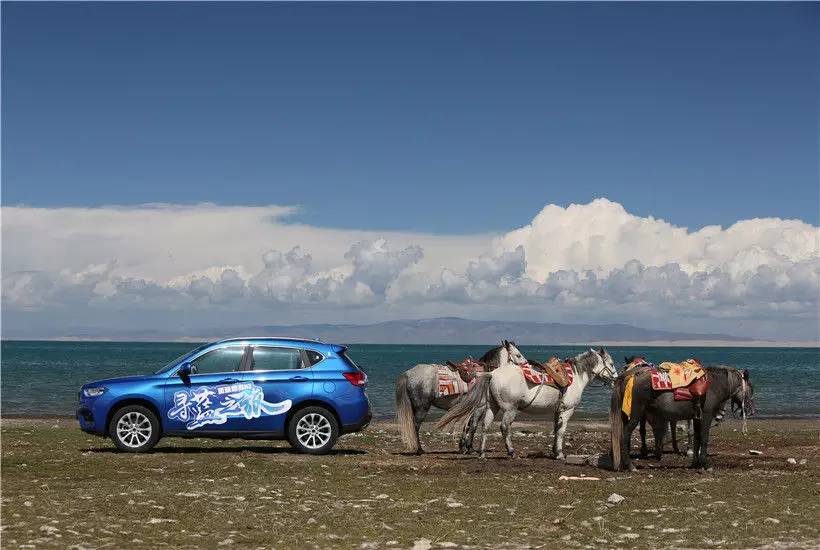 哈弗h2红标与蓝标哪个价格便宜,哈弗h2红标蓝标区别