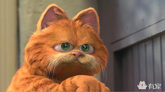 如果你是加菲,你会问吗?