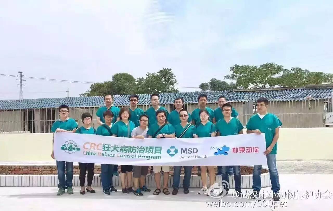 crc项目初期的准备工作,crc项目流程