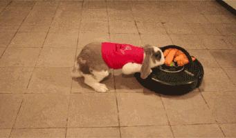 国庆拔草：说说那些买了就后悔的东西