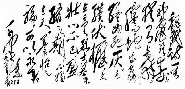毛*东泽**书法的特点